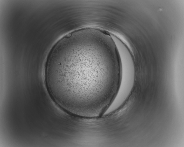 X0000089700999200707051640