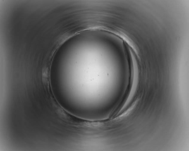 X0000089701001200707051640