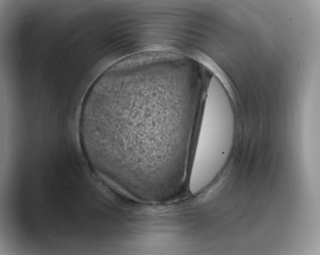 X0000089701002200707051640