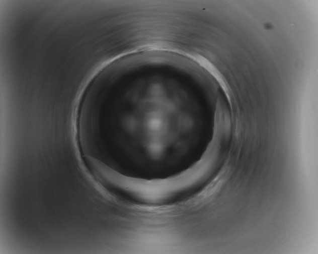 X0000089701005200707051640