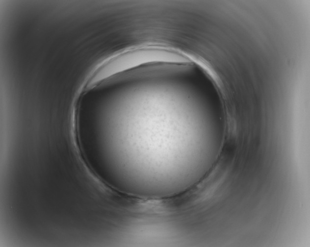 X0000089701006200707051640