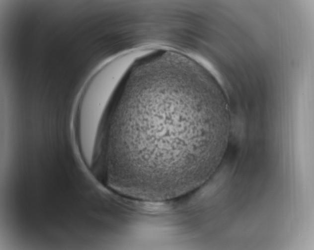 X0000089701007200707051640