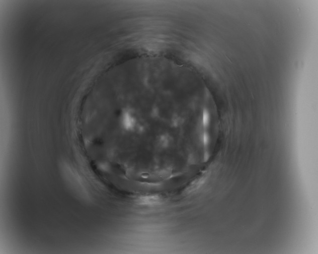 X0000089701009200707051639