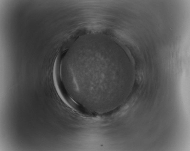 X0000089701010200707051639