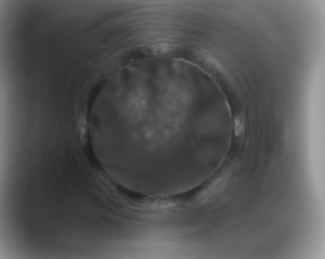 X0000089701011200707051639