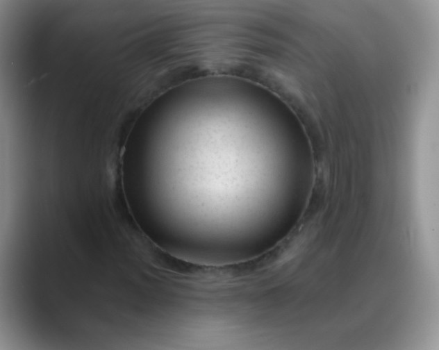 X0000089701012200707051639