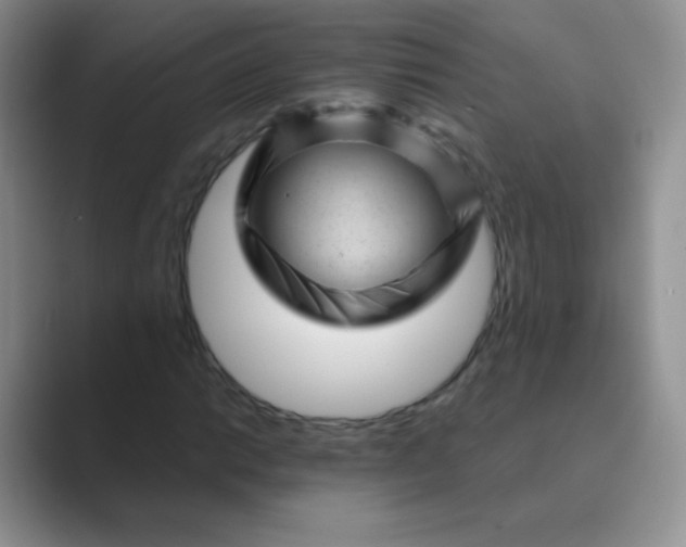 X0000089701014200707051639