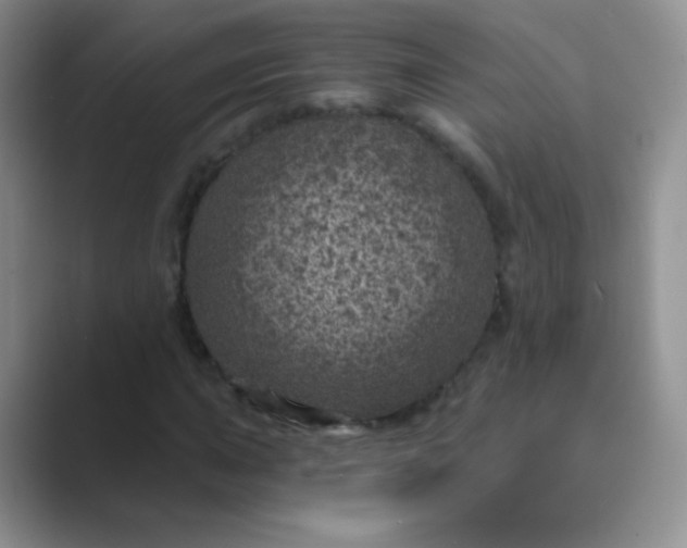 X0000089701015200707051639