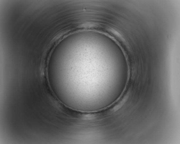 X0000089701017200707051639