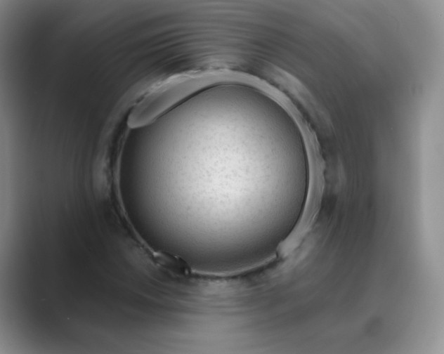 X0000089701018200707051639