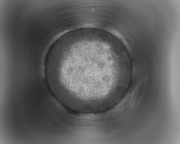 X0000089701019200707051639