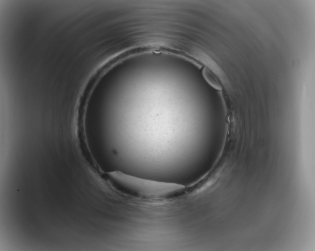 X0000089701020200707051639