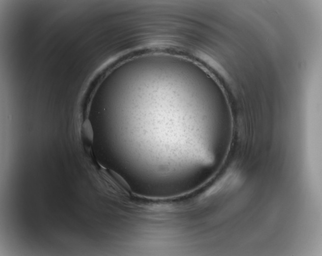 X0000089701021200707051639