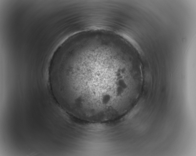 X0000089701023200707051640