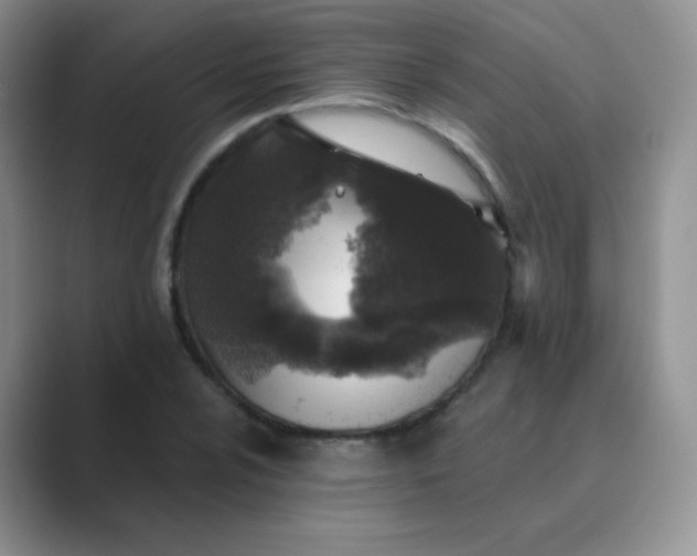 X0000089701024200707051640