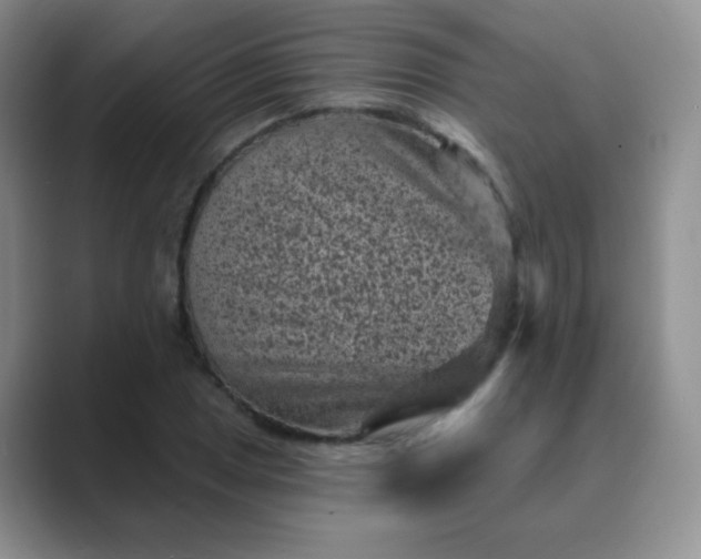 X0000089701025200707051640