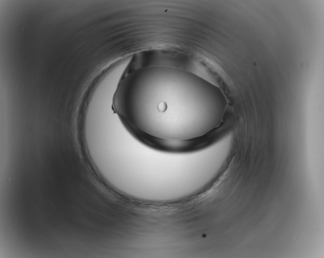 X0000089701026200707051640