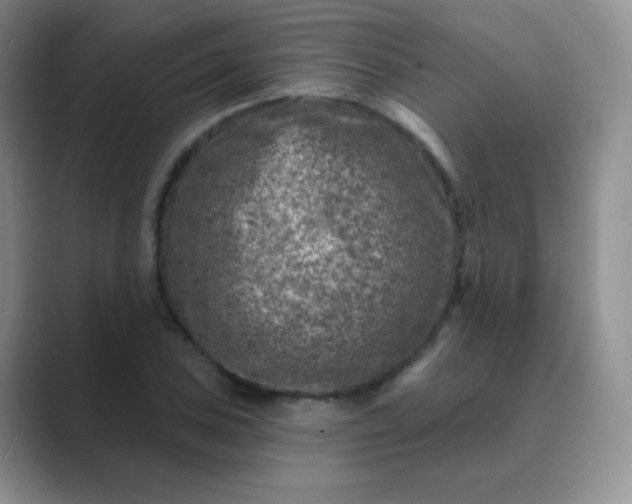 X0000089701027200707051640