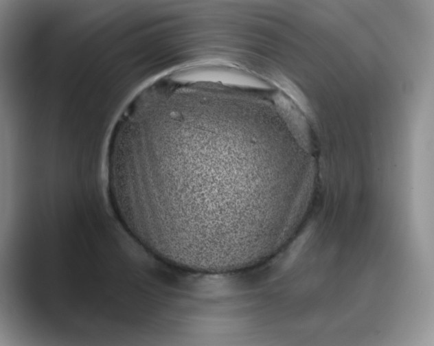 X0000089701028200707051640