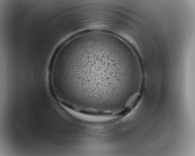 X0000089701029200707051640