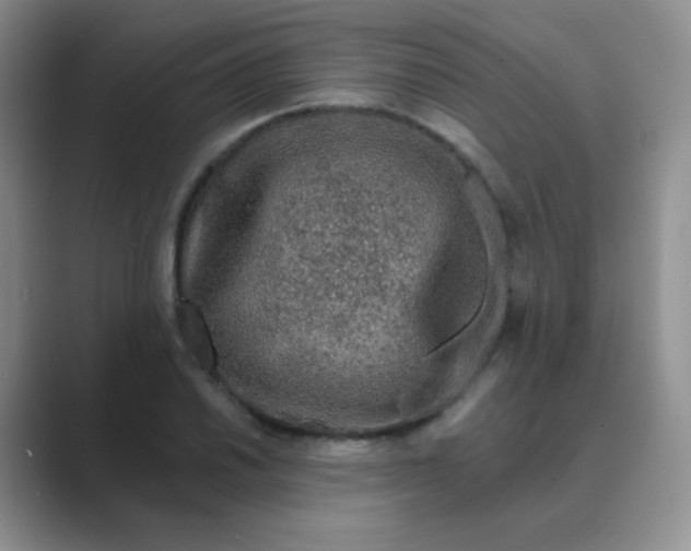 X0000089701030200707051640