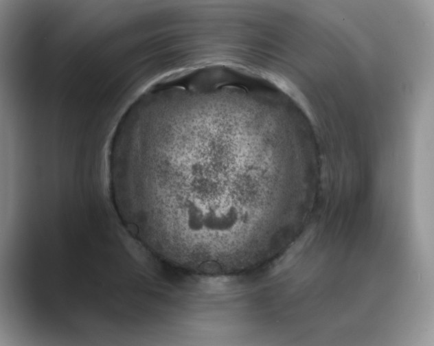 X0000089701031200707051640