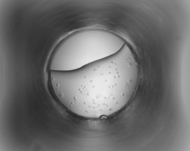 X0000089701032200707051640