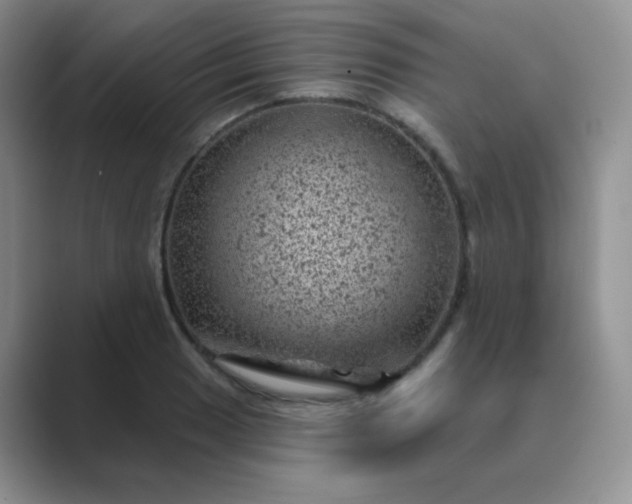 X0000089701033200707051640