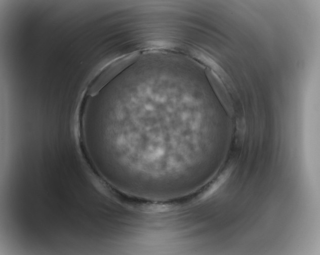 X0000089701034200707051640