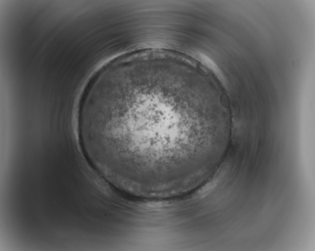 X0000089701035200707051640