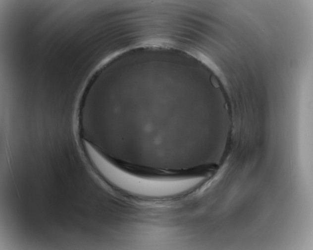 X0000089701037200707051640