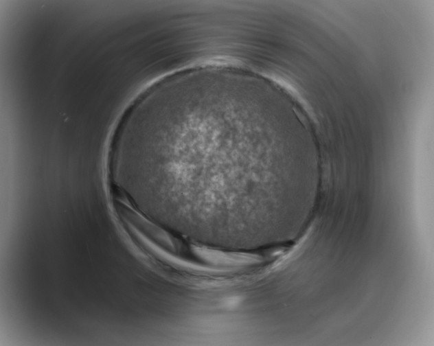 X0000089701038200707051640