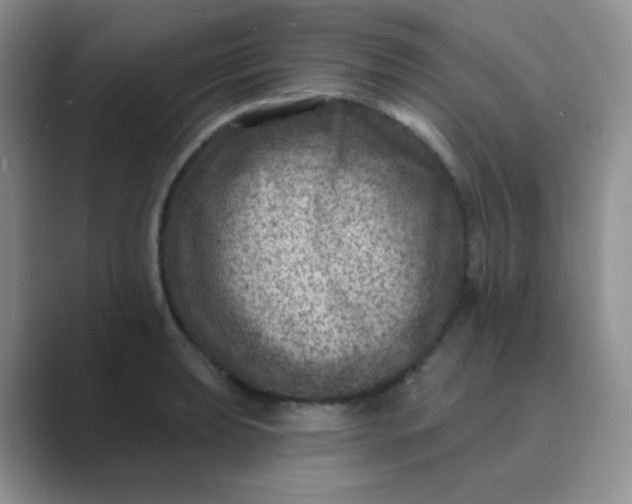 X0000089701039200707051640