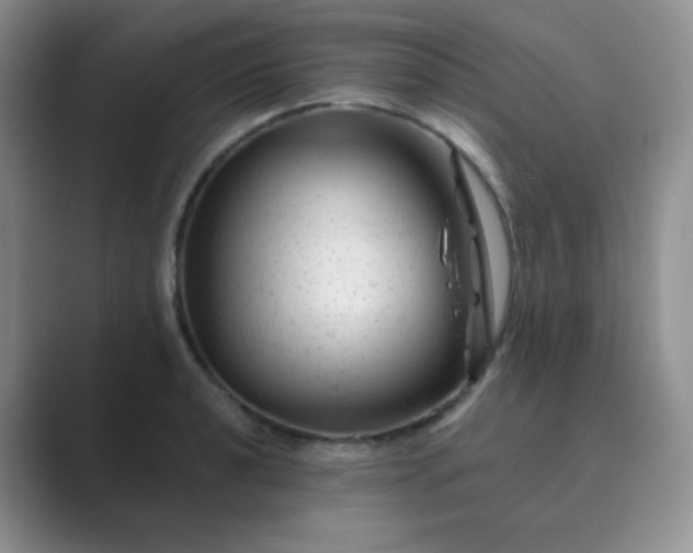 X0000089701040200707051640