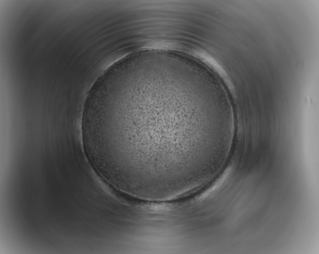 X0000089701041200707051640