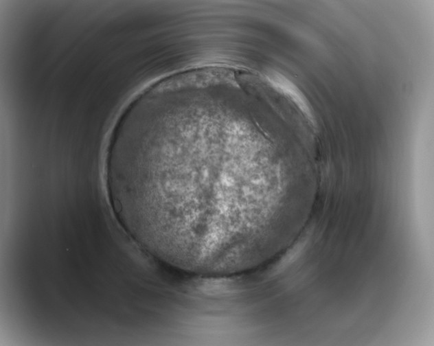 X0000089701043200707051640