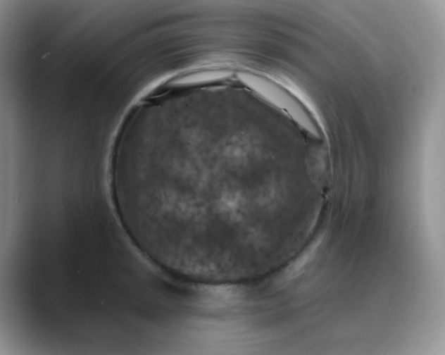 X0000089701045200707051640