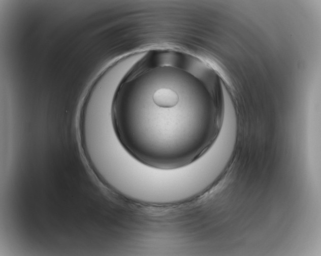 X0000089701046200707051640