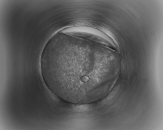 X0000089701047200707051640