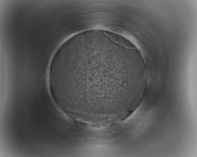 X0000089701048200707051640