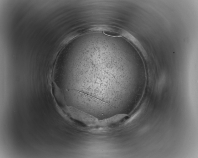 X0000089701049200707051640