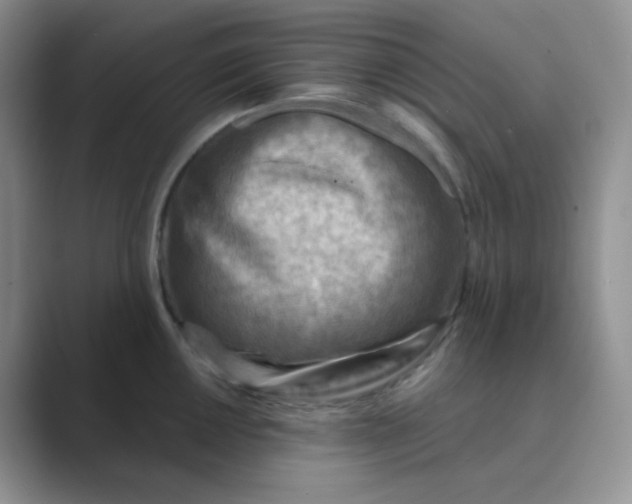 X0000089701050200707051640