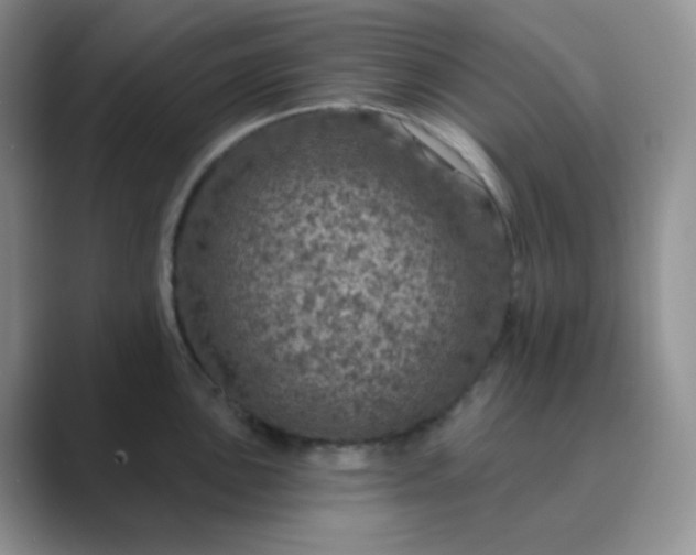 X0000089701051200707051640