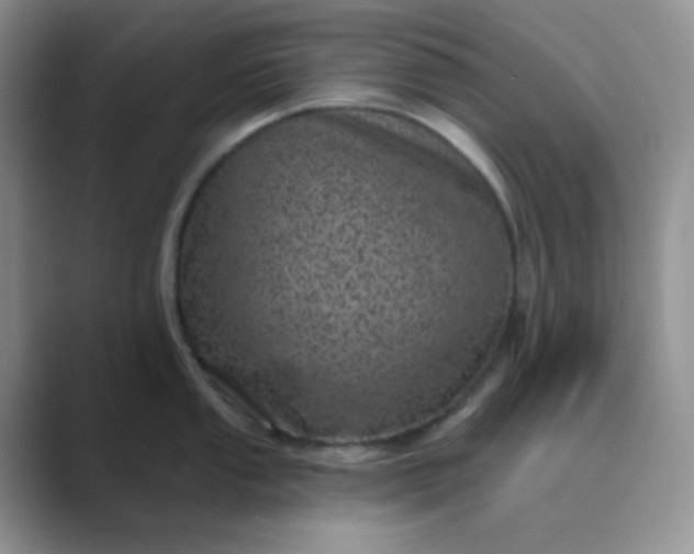 X0000089701053200707051640