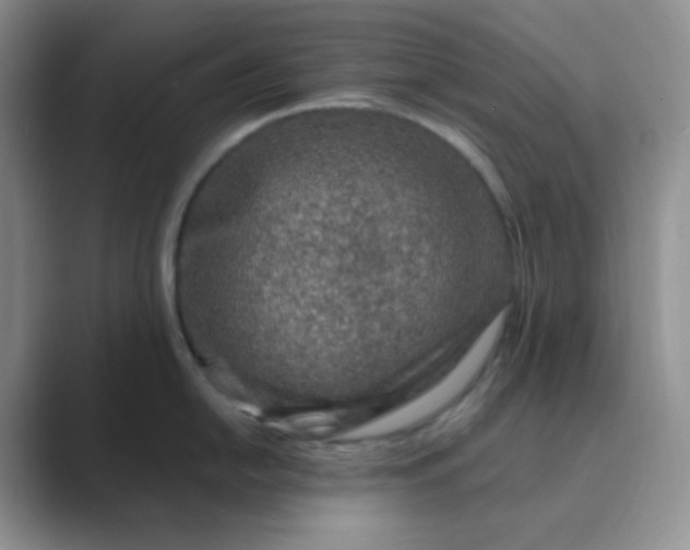 X0000089701054200707051640