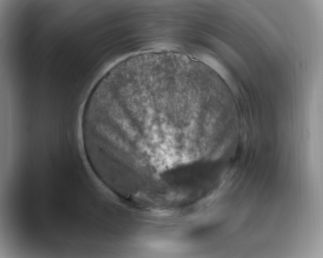 X0000089701055200707051640