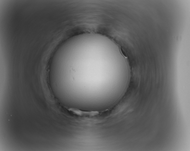 X0000089701057200707051639