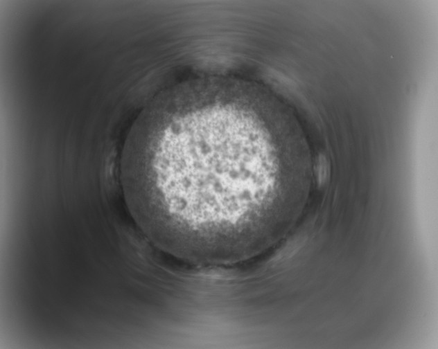 X0000089701059200707051639