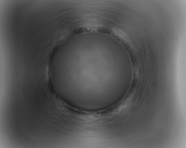 X0000089701060200707051639