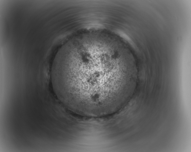 X0000089701063200707051639